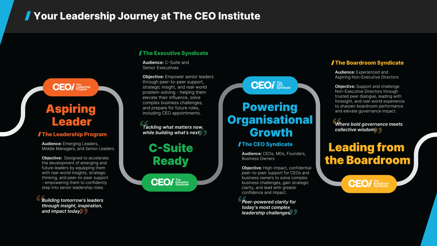 CEO Institute Programs