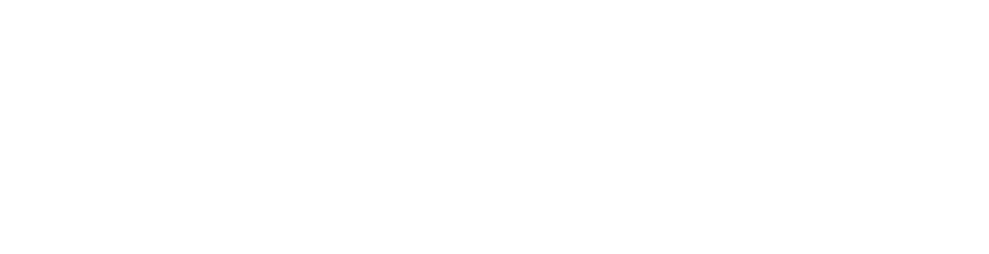 FirstFocus Primary Logo Transparent_WHITE