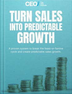 Turn Sales Into Predictable Growth