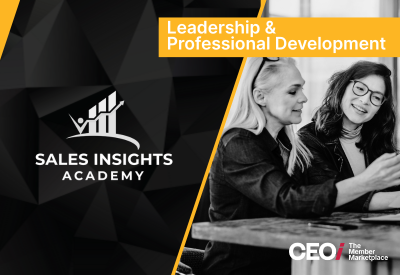 Sales Insights Academy