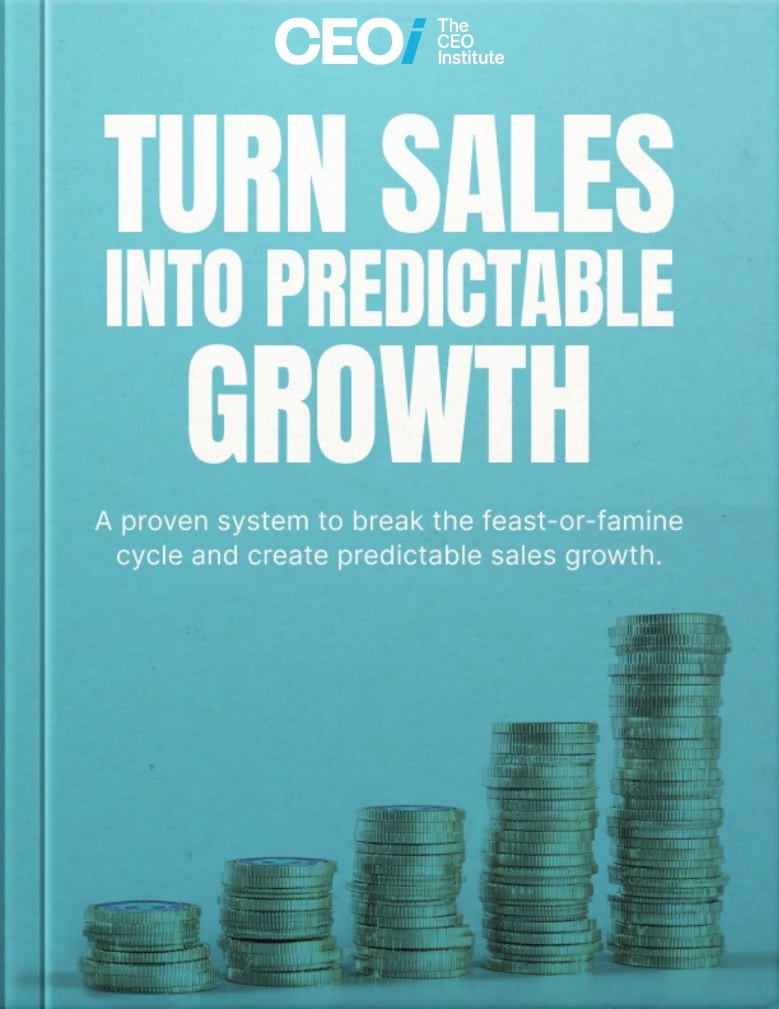 Turn Sales Into Predictable Growth
